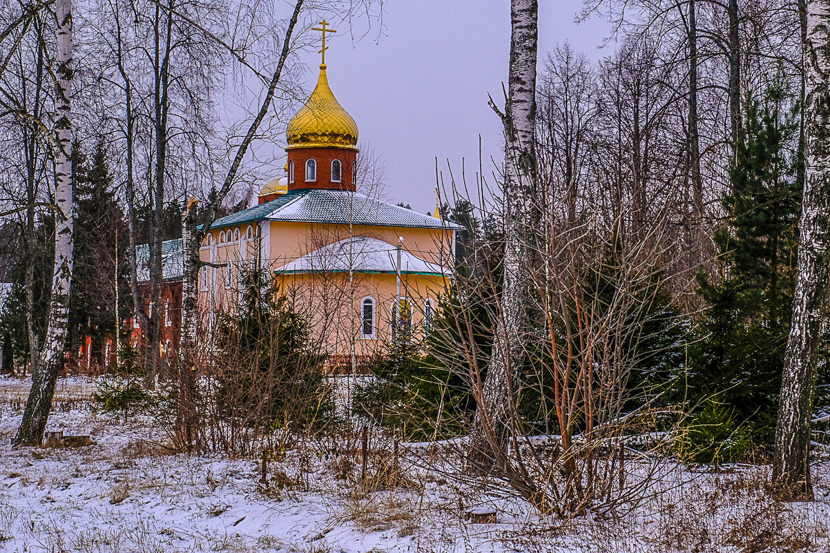 Иоанно-Предтеченский монастырь - Георгий А