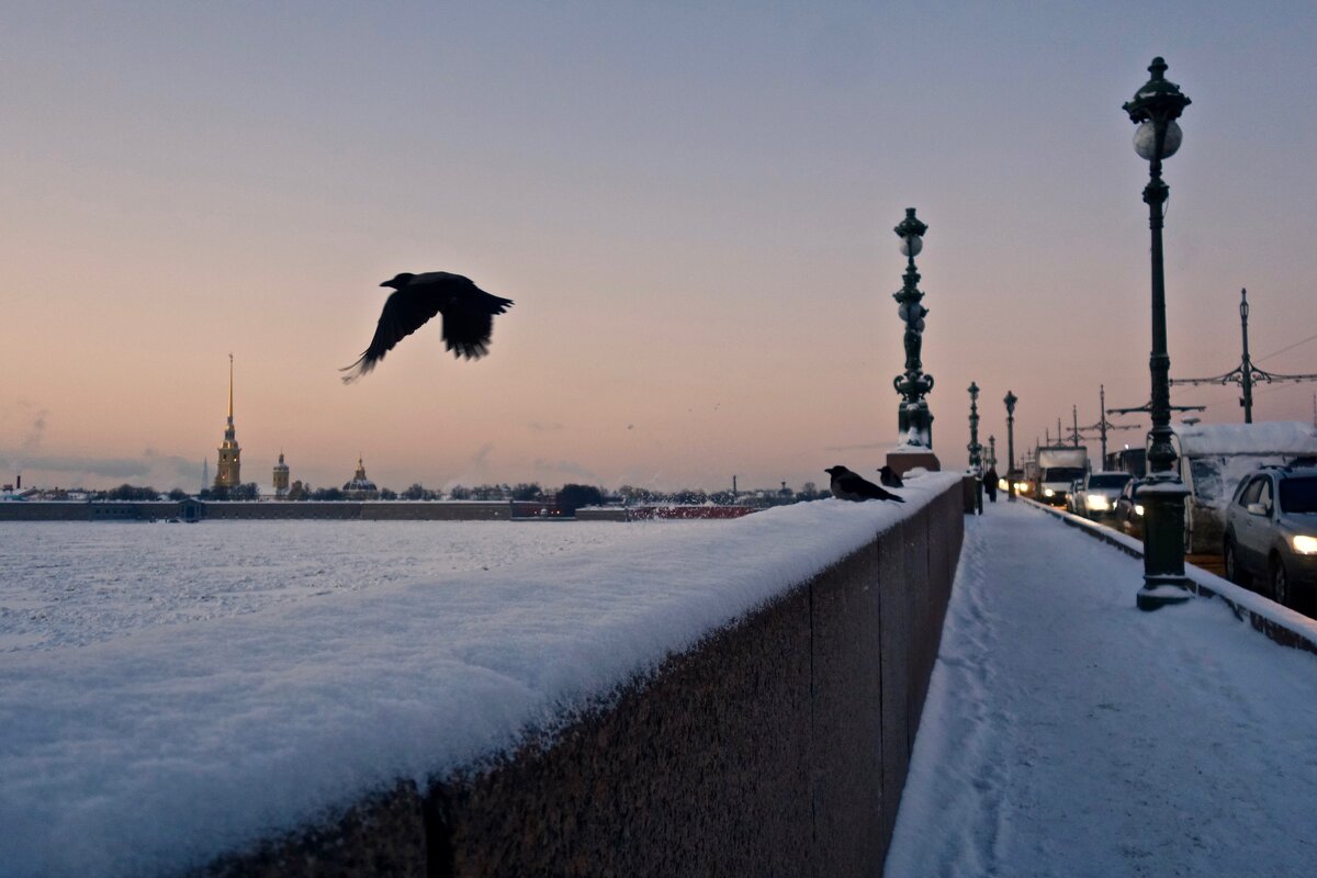 Троицкий мост с воронами - Елена 