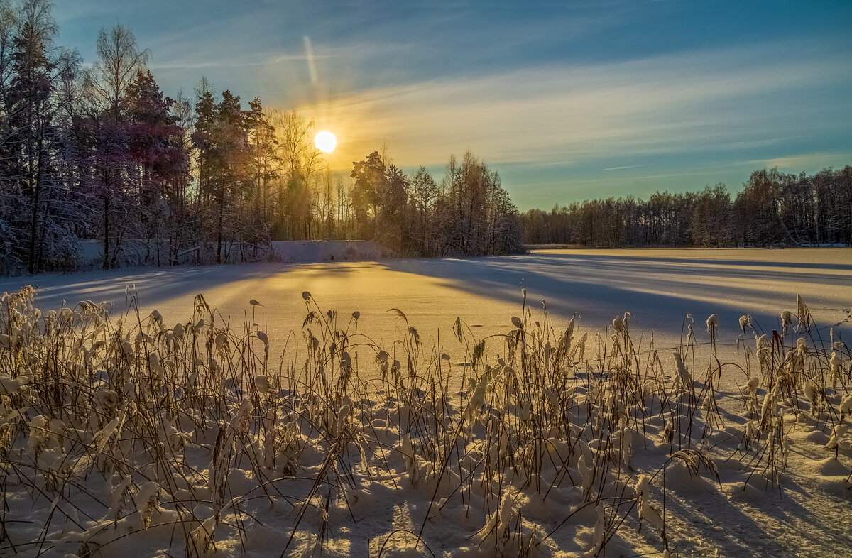 Декабрь, солнце и мороз 03 - Андрей Дворников