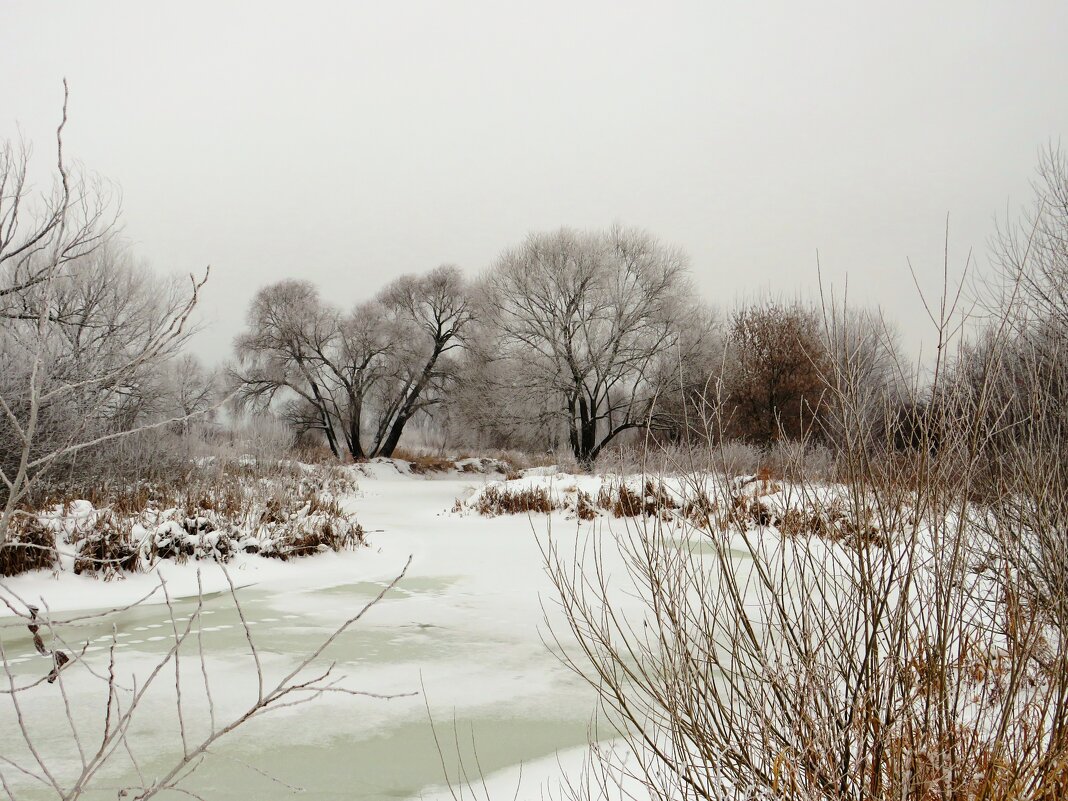 Зима на реке - Андрей Снегерёв
