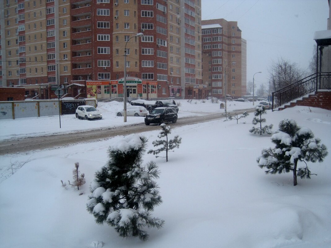 Зимним днем в моем городе - Елена Семигина