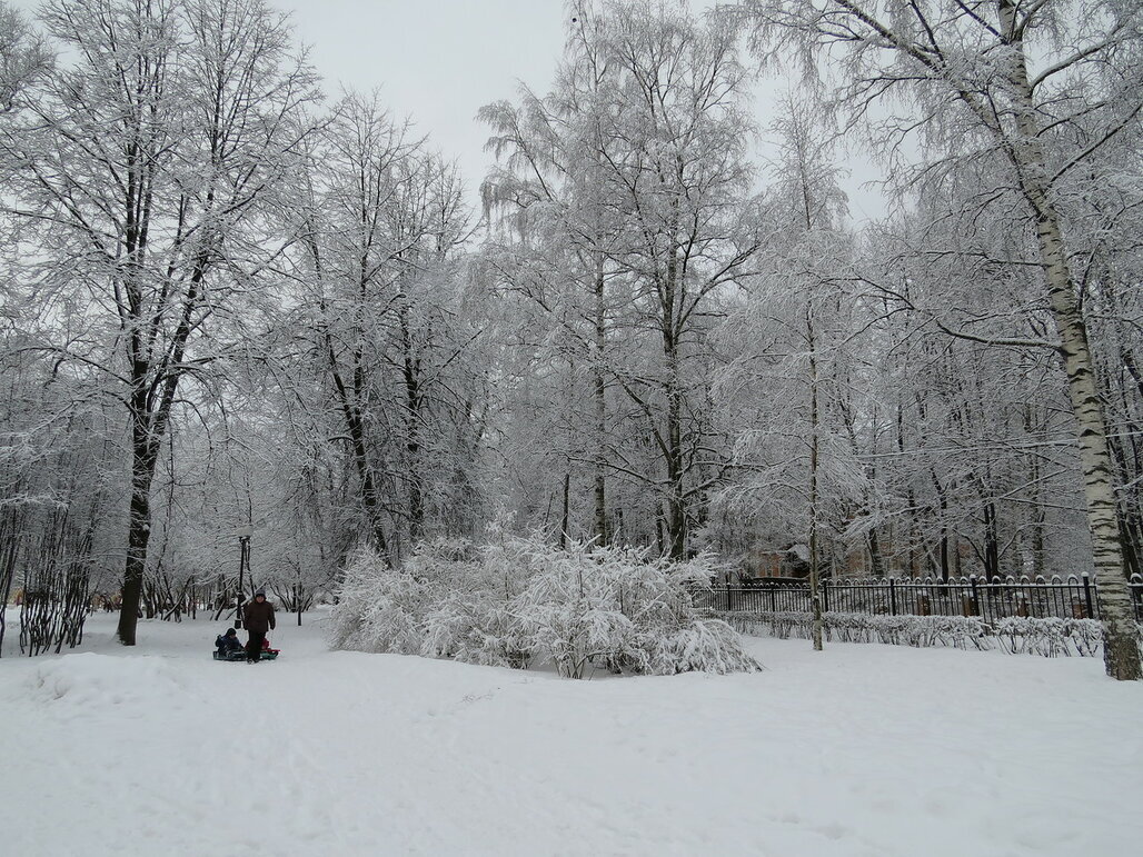 Зима в парке - Вера Щукина