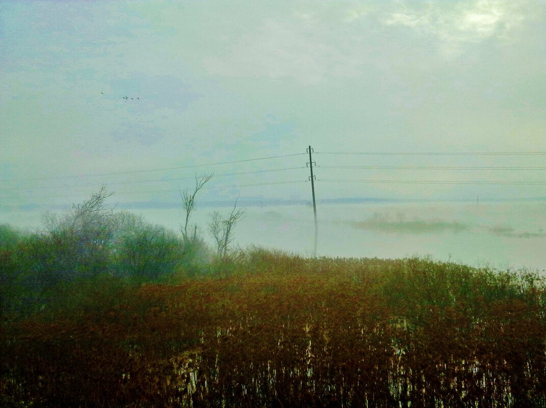 разлив в тумане - Владимир 