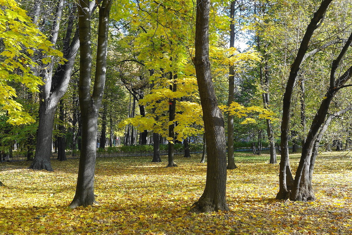 Парк Останкино - Маргарита Батырева