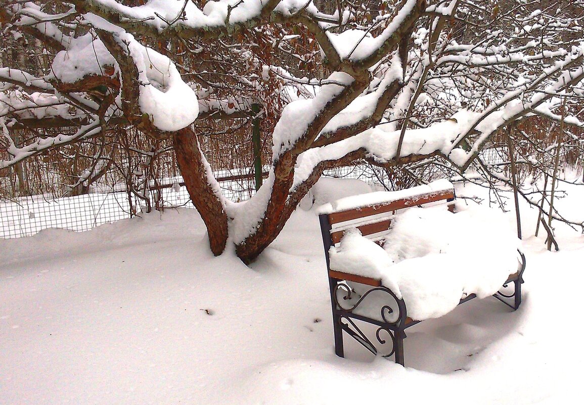 Снег, снег, снег...Одинокая скамья в саду...До встречи весной... - ГЕНРИХ 