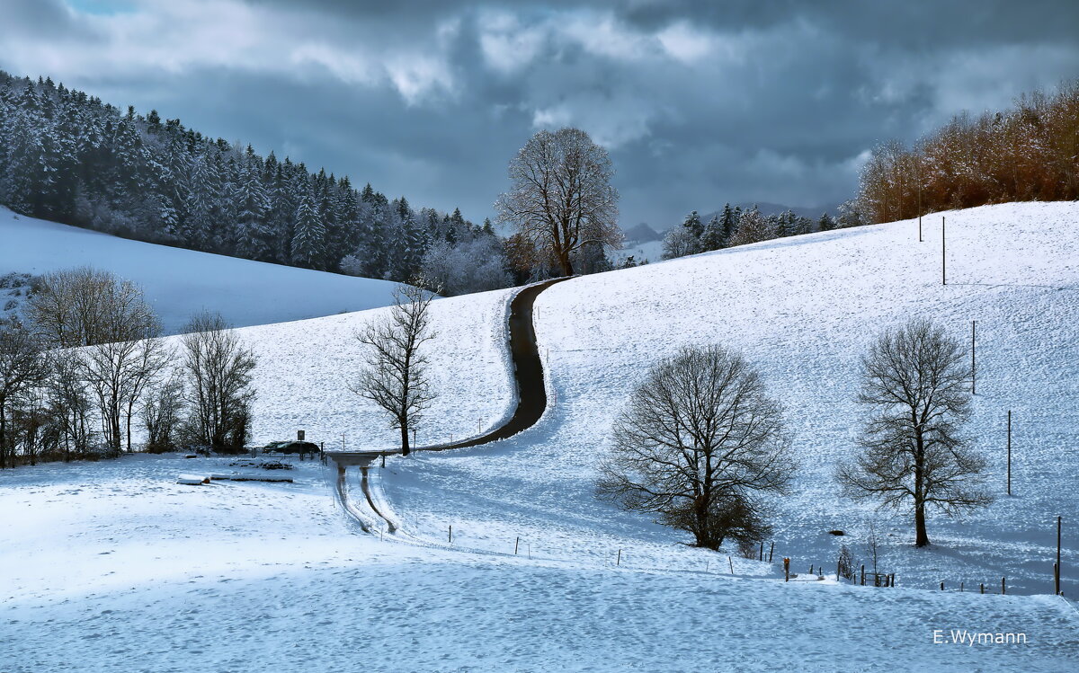 winter view - Elena Wymann