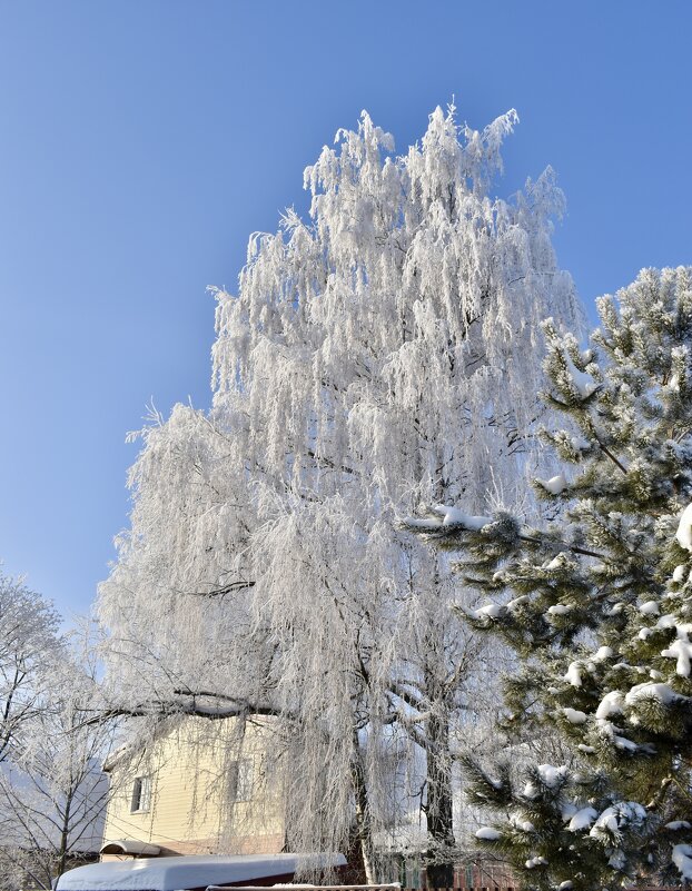 Зима в России - Владимир 