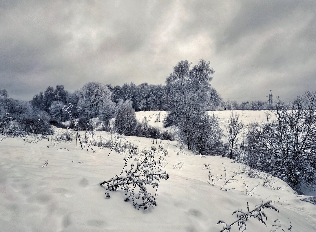 зимняя прогулка - Валентина. .