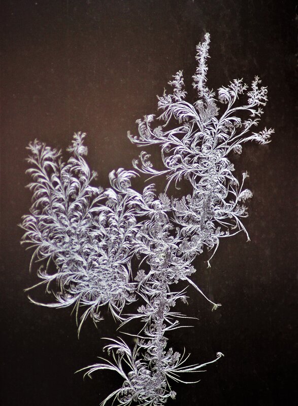 Ажурный узор филиграни мороз на стекле изваял - Сергей Чиняев 