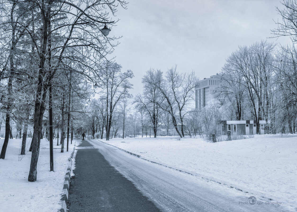 Зима в центральном парке Белгорода - Игорь Сарапулов