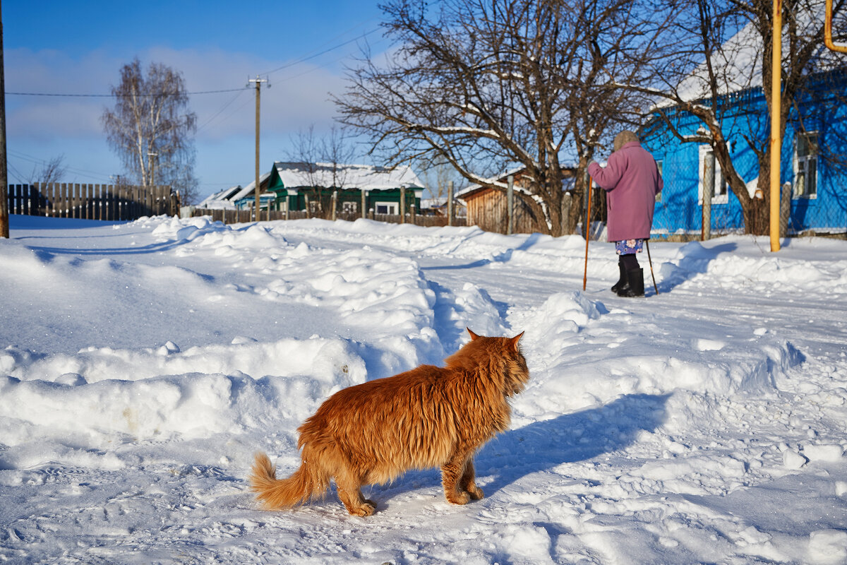 Прогулка - Вера Сафонова