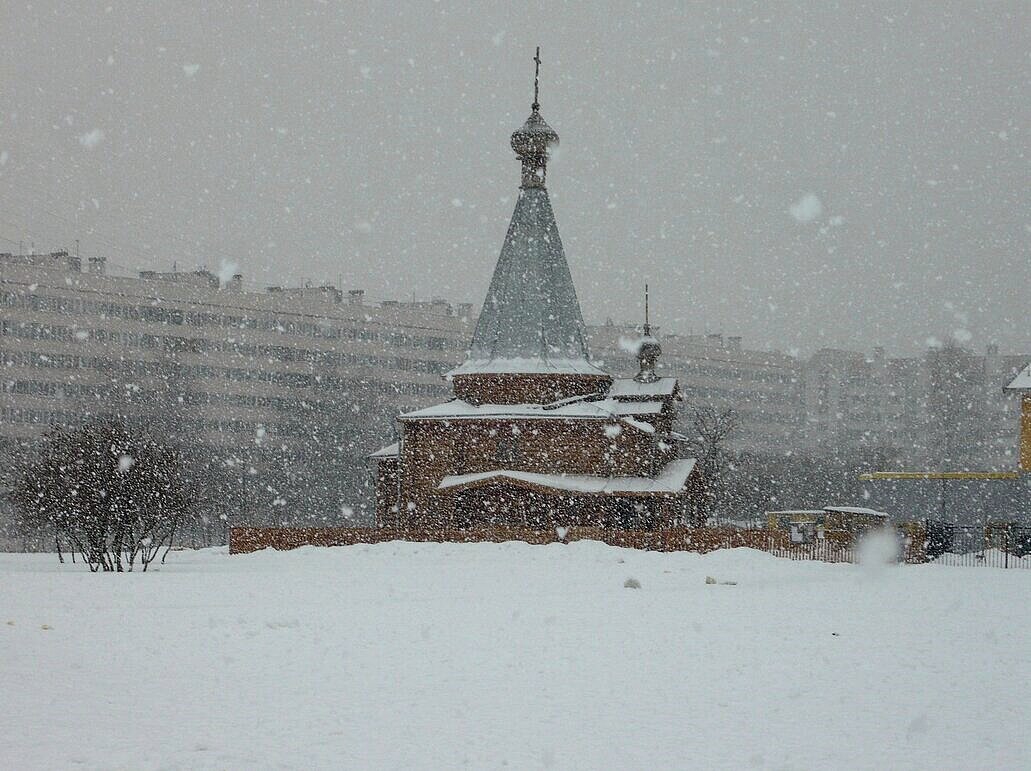 Снегопад - Вера Щукина