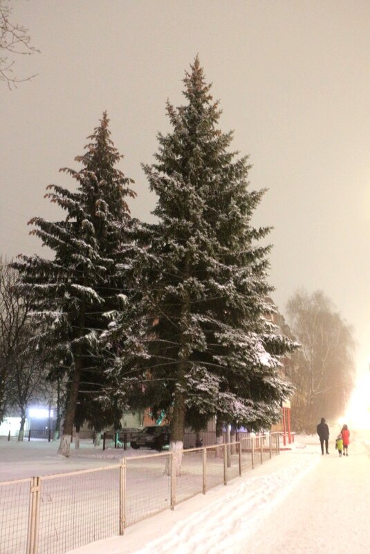Туман в новогоднем городе - Надежд@ Шавенкова