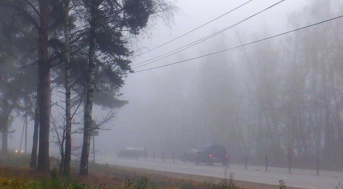 Туман на дороге - Михаил 