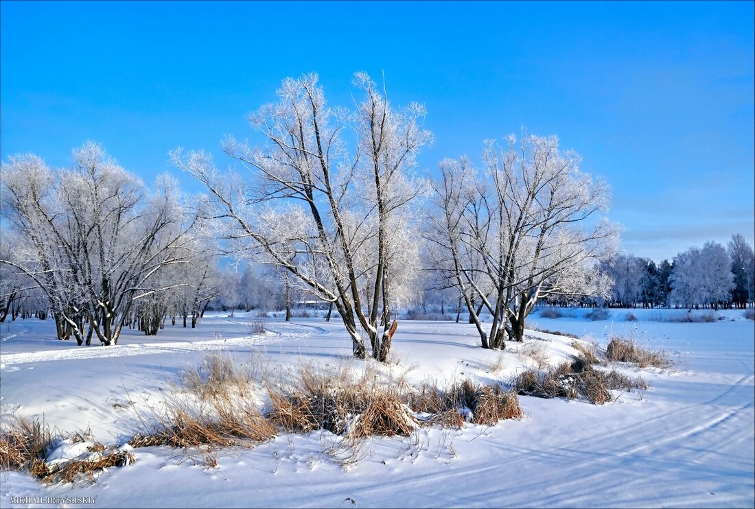 Прогулка зимняя у пруда замёрзшего - Mikhail Irtyshskiy