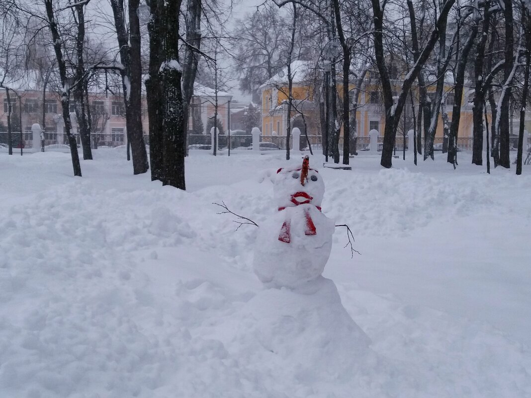 Снеговик в Наташином парке - Galina Solovova