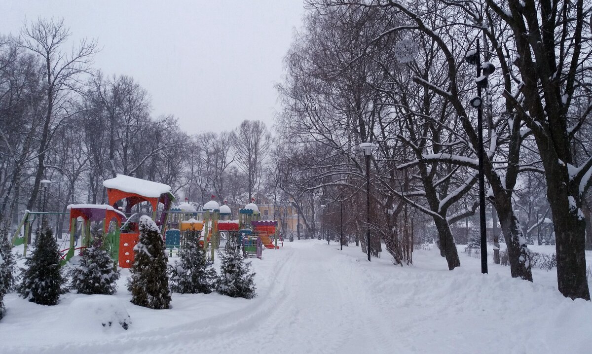 Зима в Наташином парке - Galina Solovova