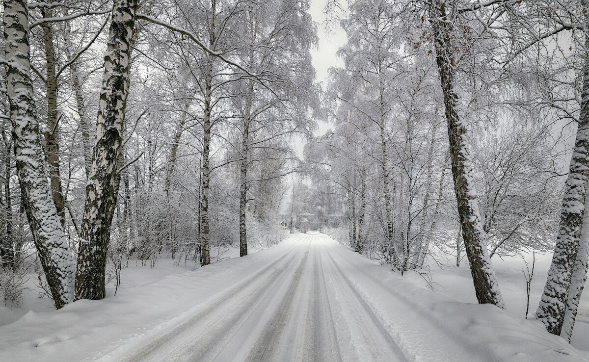 Зимняя дорога - Сергей 