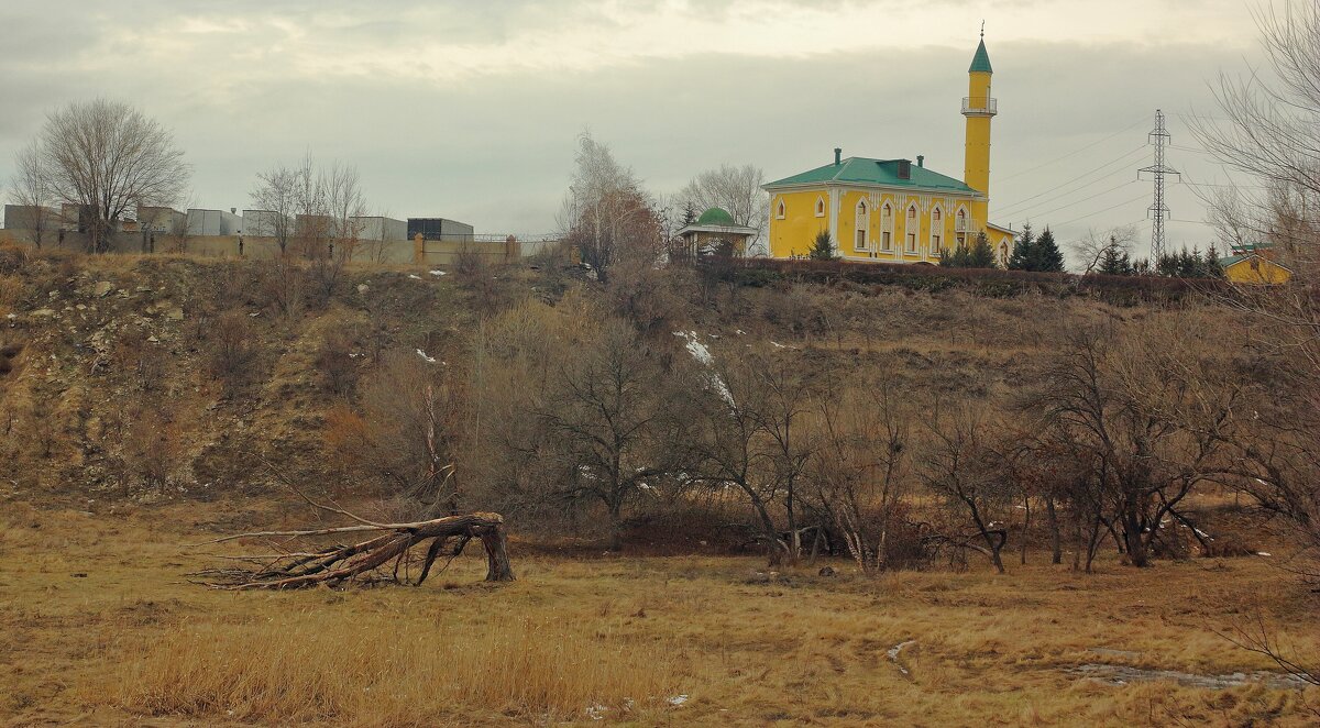 соборная мечеть - Гонорий Голопупенко