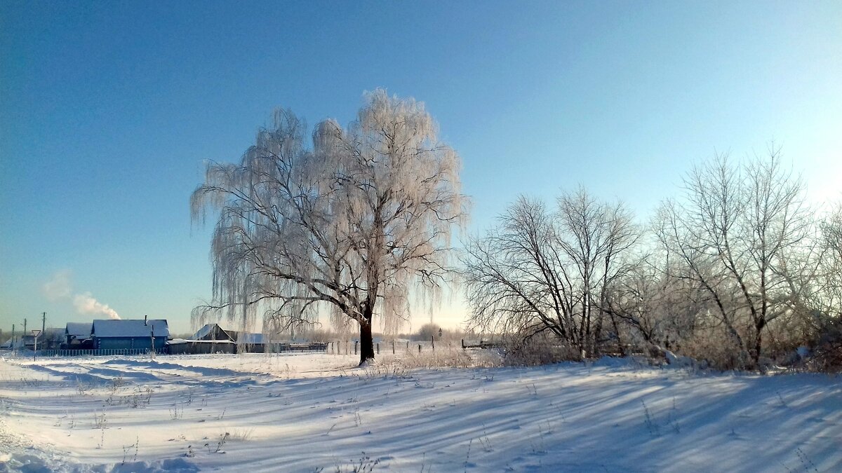 Во поле берёза стояла... - Елена 