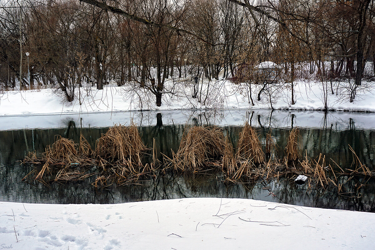 Речка Городня зимой (#3) - Alex Sash