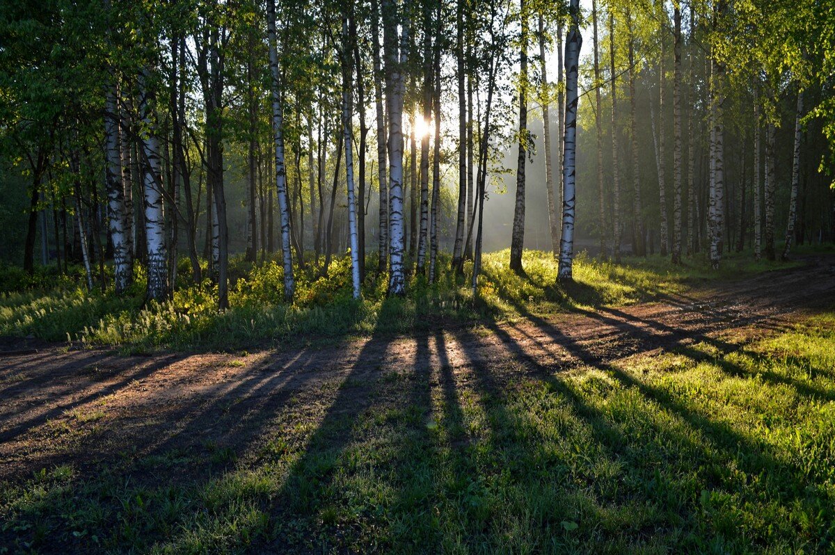 На восходе...... - Юрий Цыплятников