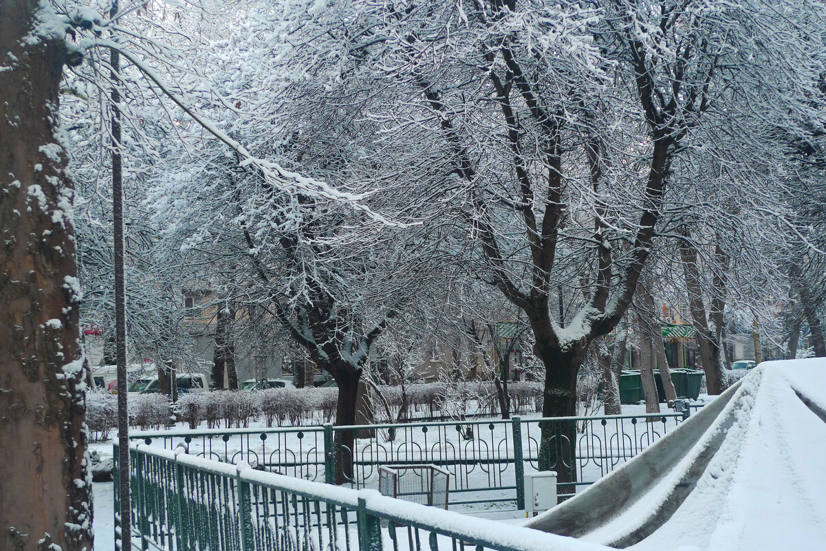 Зима  в парке - Валентин Семчишин
