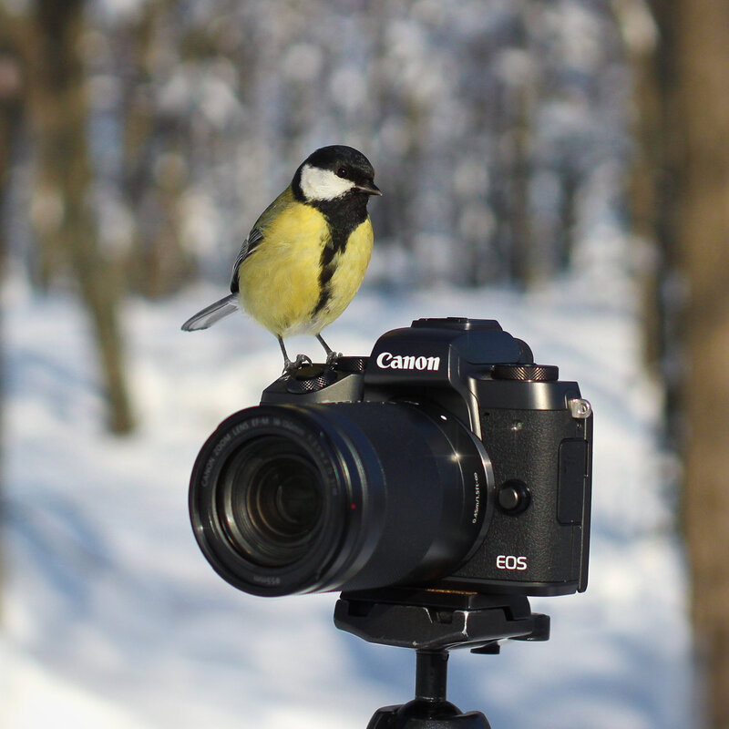 Фото на память - Pavel Blashkin