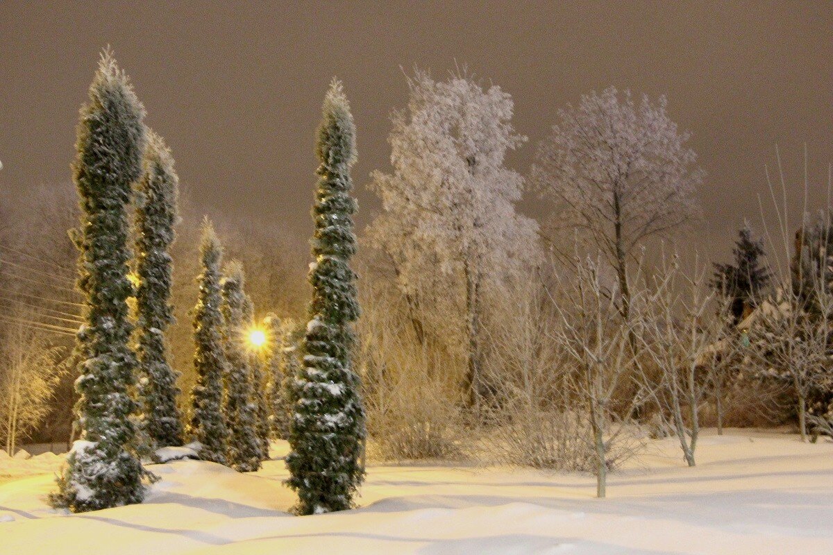 Зима в городе - Надежд@ Шавенкова