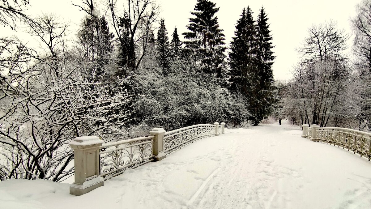 В парке прошёл снег - 2 - Сергей 