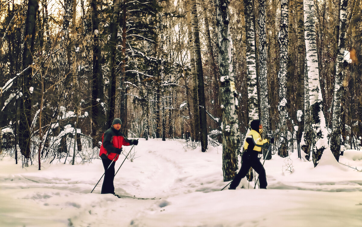 Лыжные прогулки в парке - Сергей Царёв