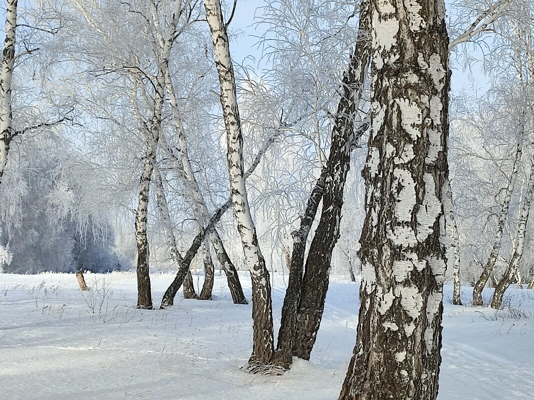 *** - Валентина Богатко 