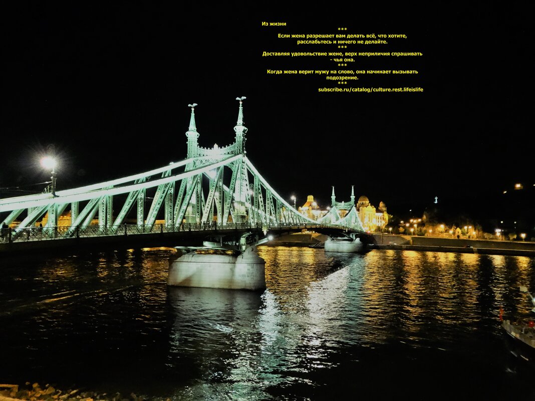 Будапешт. Дунай. Мост Свободы - svk *