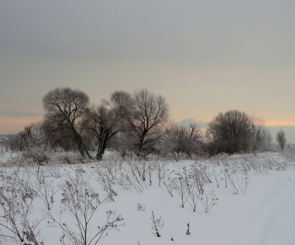 Пейзаж зимы - Андрей Снегерёв