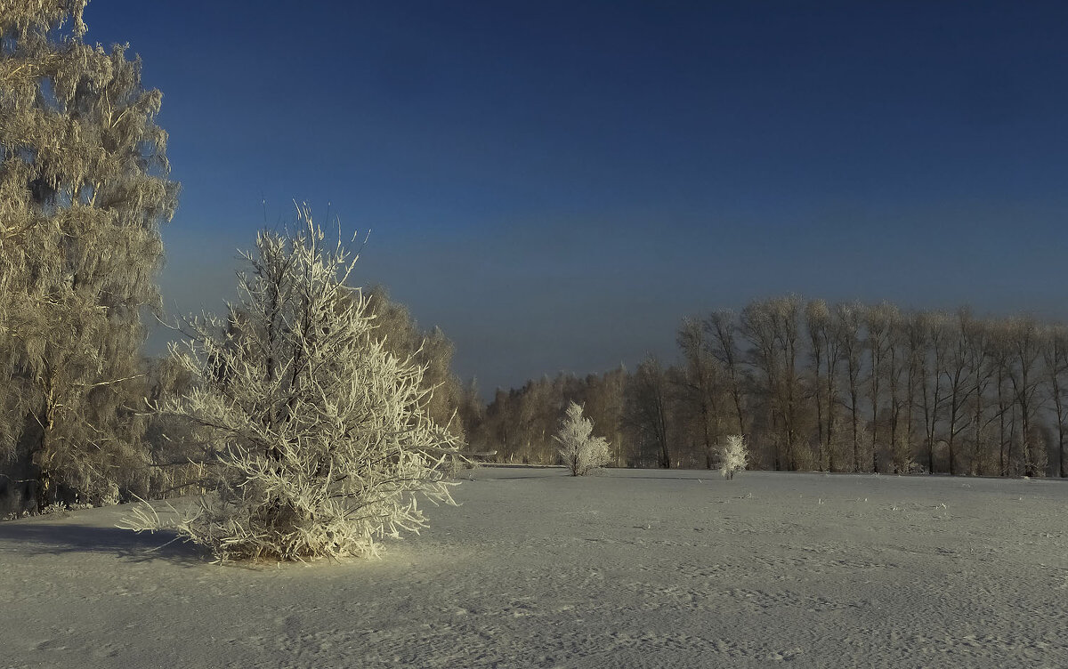 Причуды зимы 5 - Сергей Жуков