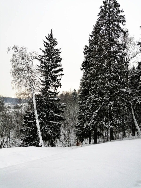 Январь - Александр 