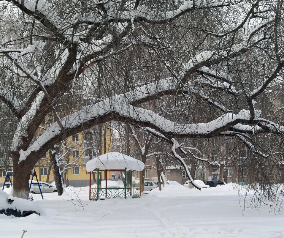 Под снегом января - Galina Solovova