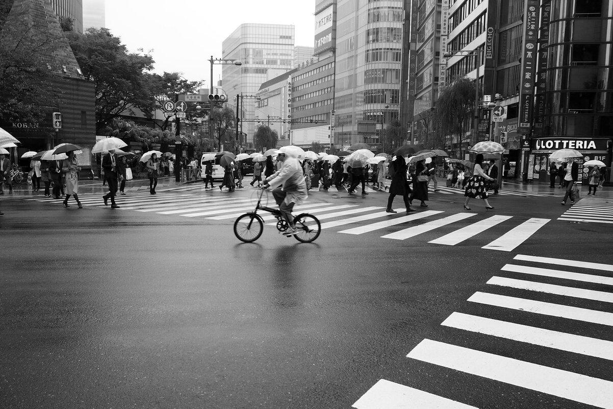 Токийские зонтики Токио Япония - wea *