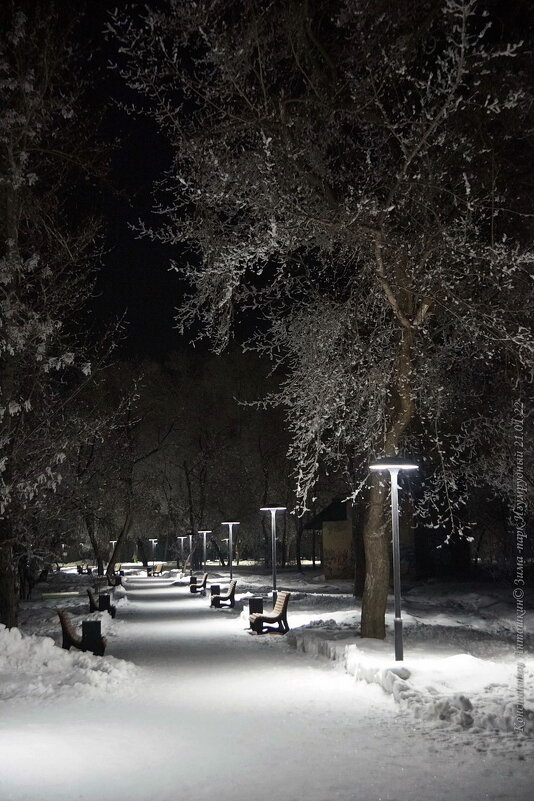 Ночь в парке - Константин Антошкин