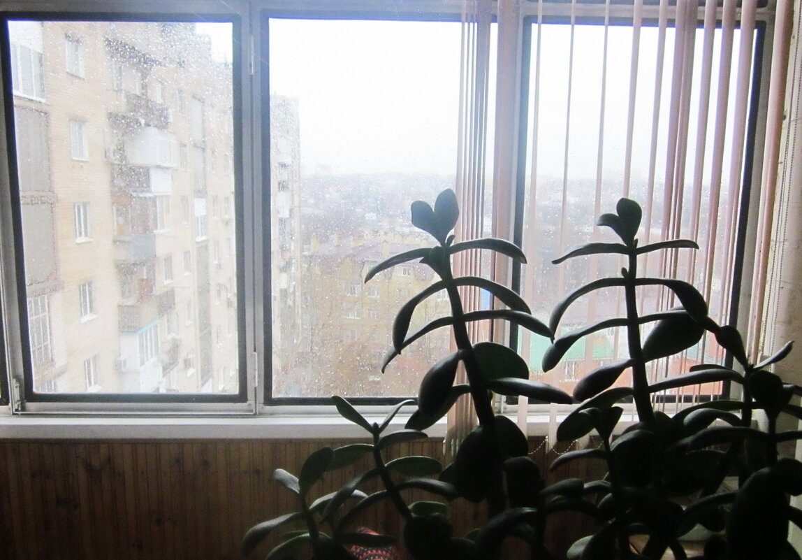 За окном непогода - Татьяна Р 