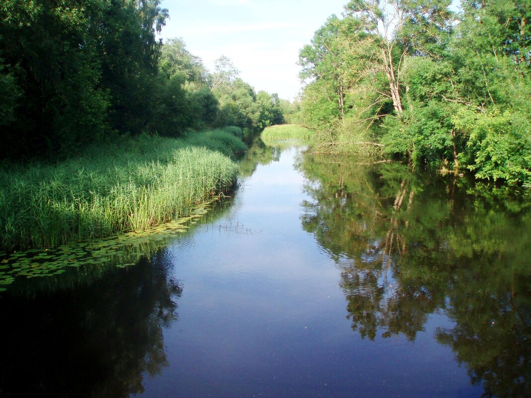 Lėvuo river. Lithuania - silvestras gaiziunas gaiziunas