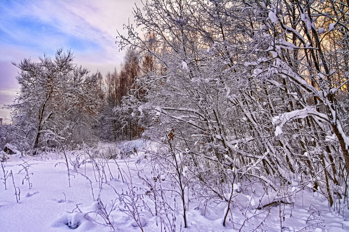 Розовый снег - Юрий Митенёв