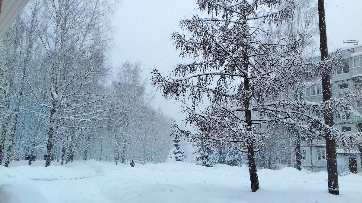 снегопад - Владимир 