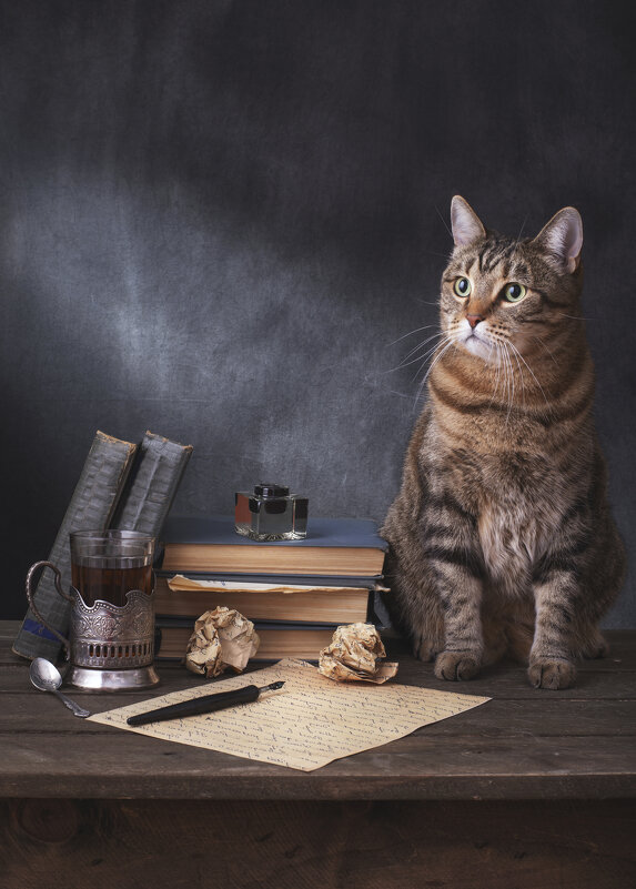 Кот ученый - Максим Вышарь