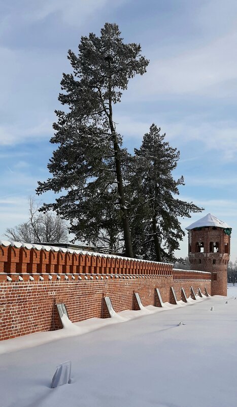 Царское Село. Федоровский городок - Наталья Герасимова