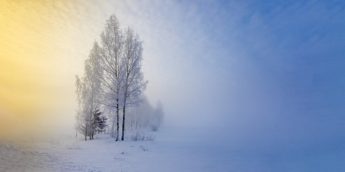 Туманный февраль - Александр Игнатьев
