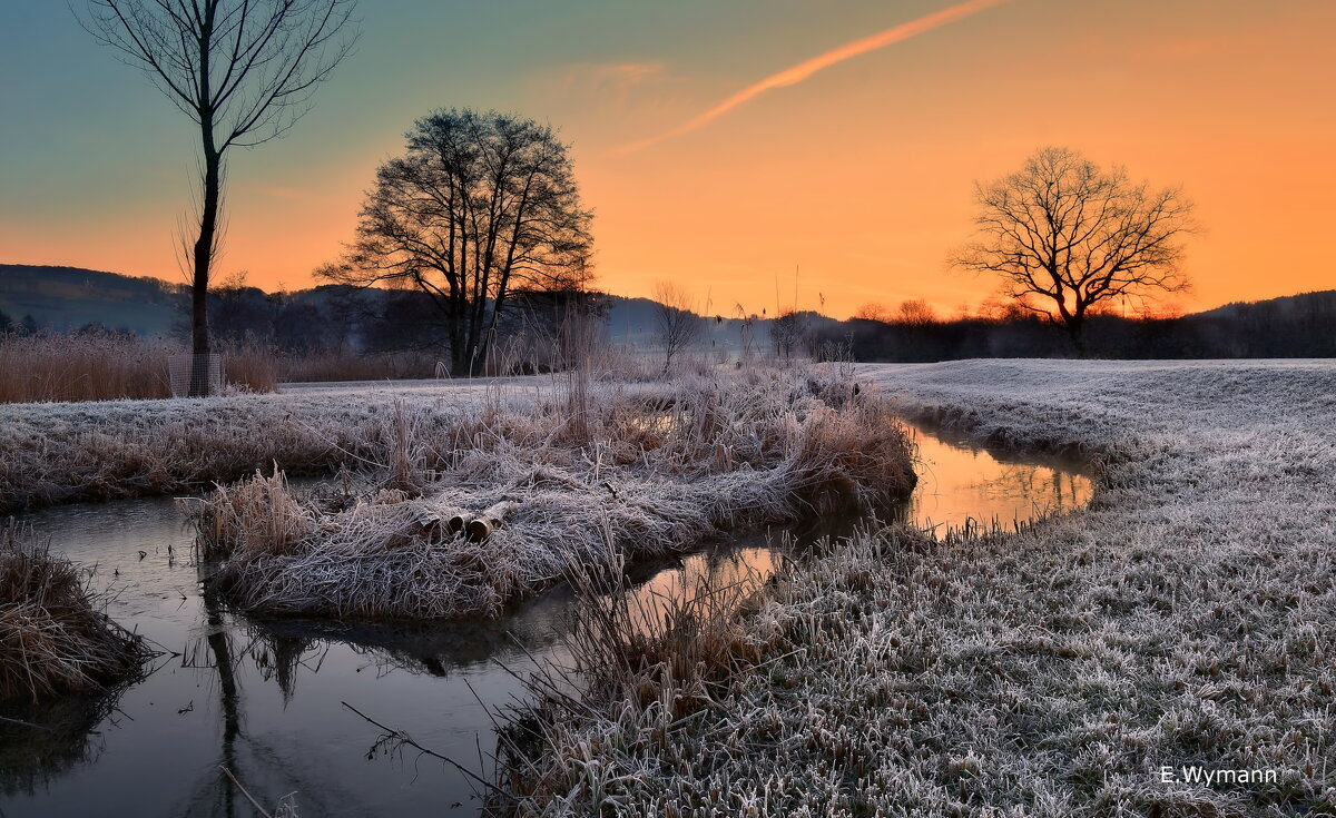 winter morning - Elena Wymann