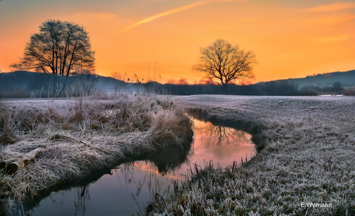 winter morning - Elena Wymann