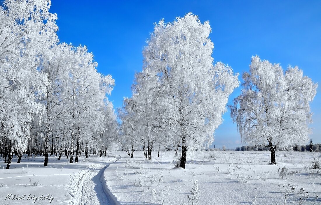 Морозный день - Mikhail Irtyshskiy