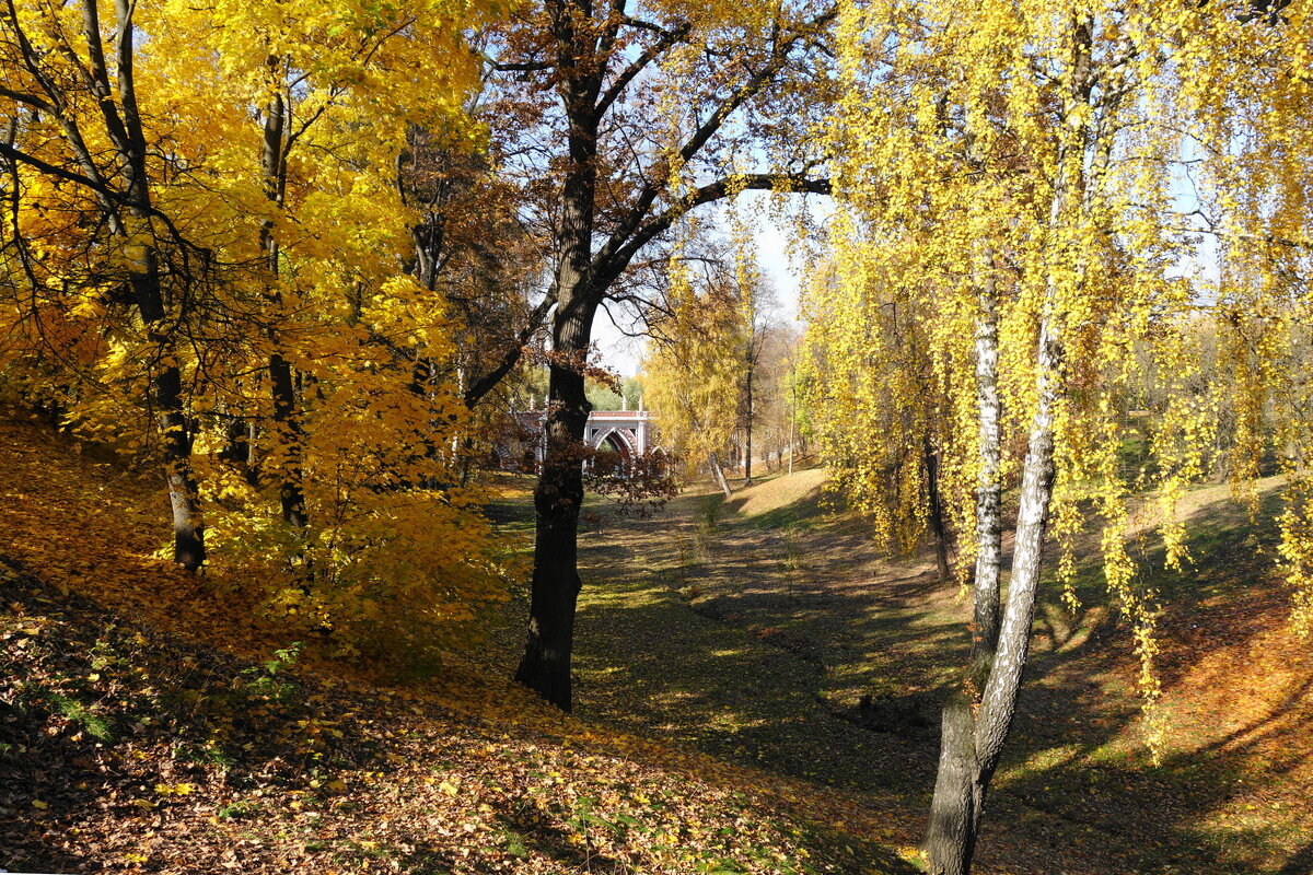 Музей-заповедник Царицыно - Маргарита Батырева